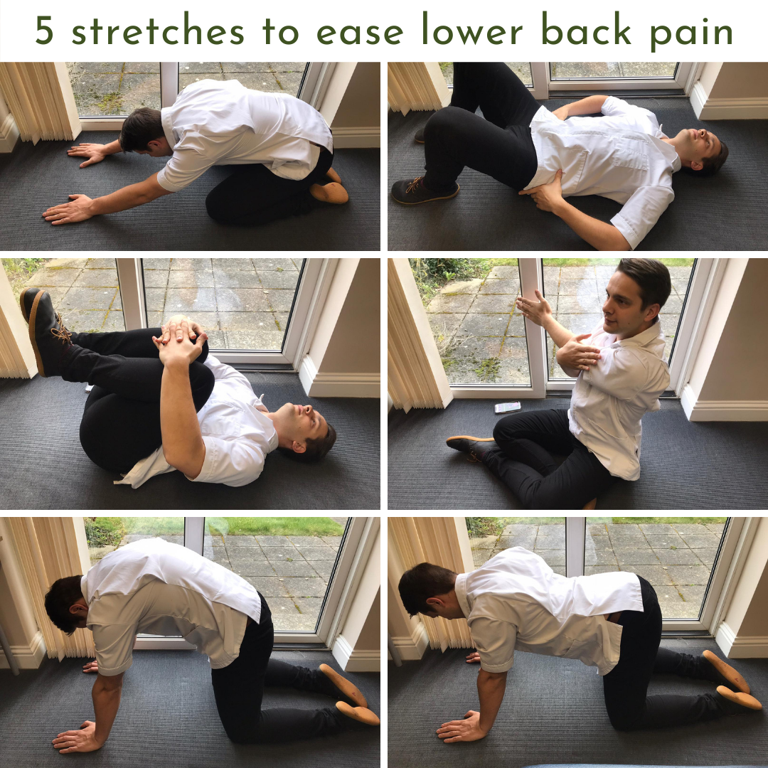 Stretches exercise for lower back pain relief, Pain Relief ideas