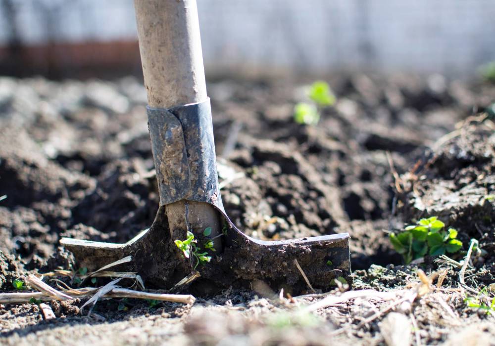10 top reasons why gardening is good for your physical and mental health