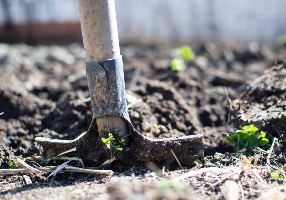 Injury free gardening